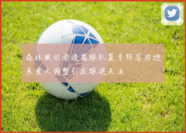 森林狼记者透露球队夏季阵容将迎来重大调整引发球迷关注
